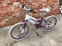 raleigh striker bike 1980's